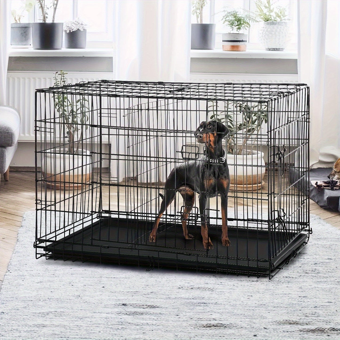 42/48 inch Double Door Folding Metal Dog Crate Dog Cage with Dividers And Leak-Proof Tray Metal Crate for Puppy to Medium to Large Dogs, with Removable Tray Wire Dog Kennel Portable Indoor Outdoor Pet Cage